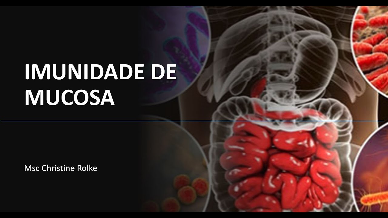Imunidade de Mucosa
