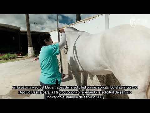 En qué consiste la Aptitud Básica para la Reproducción