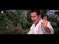 Heroes Of The East Kung Fu Vs. Karate