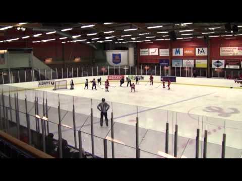 Lidingö Vikings HC - IF Vallentuna BK | 2 - 1 | 17 Januari 2015