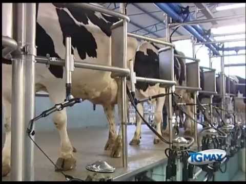 Sei arresti per rapina a Sulmona