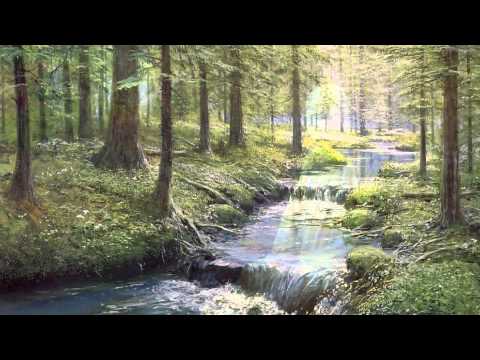 Bóng tùng mãi mãi - Huỳnh Lợi