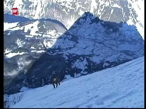 Ueli Steck: Neuer Speed Rekord am Eiger