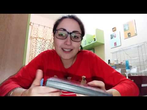 #7vlogmas Non potete non guardarli