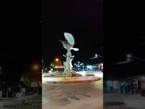 pássaro grande uruaçu Goiás