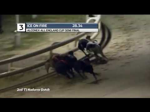 2019 ALCONEX ALL ENGLAND CUP - 2ND SEMI - T3 ICE ON FIRE