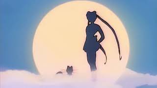 Cover art for Moonlight Densetsu