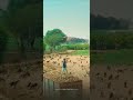 Ishaq Zal R Gadya Marathi What S Up Status Video Full Screen