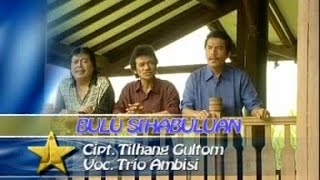 Download lagu Trio Ambisi - Bulu Sihabuluan mp3