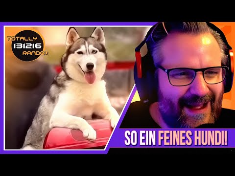 Totally Random 2023 #1 und #2 - Gronkh Reaction