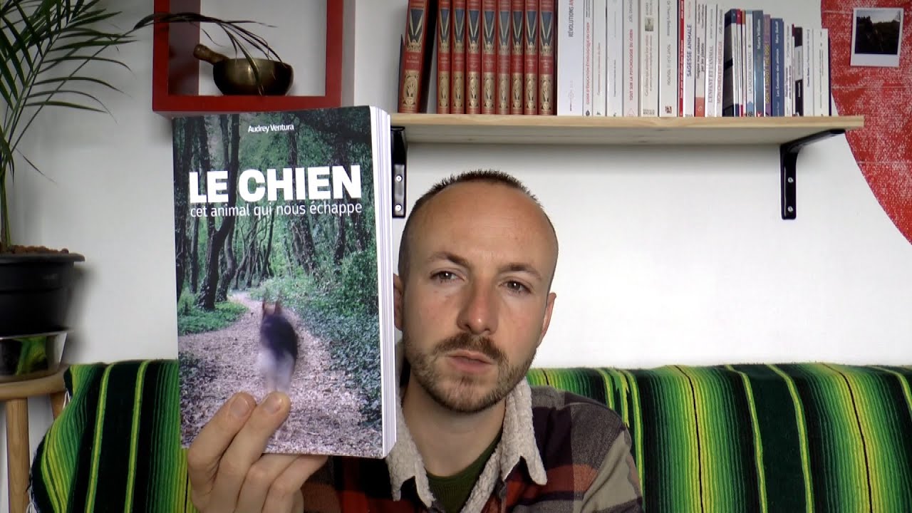 Le chien, cet animal qui nous échappe (Audrey Ventura) - Format long