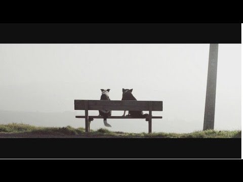 Luca Schreiner - Missing feat. Kimberly Anne (Official Video)
