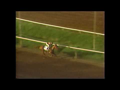 Professor Leonardo President of 1993 Takes Front