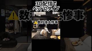 【もはや事故】こんなん腹捩れるわwww #luxiem切り抜き #にじさんじ #luxiem #vtuber #lucalive