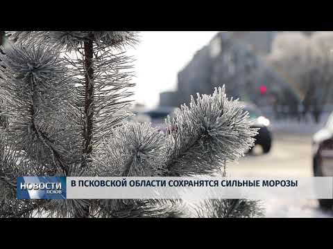 22.01.2019 / Морозы продолжают сковывать область