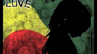 Selekter Stepper Best Reggae.wmv