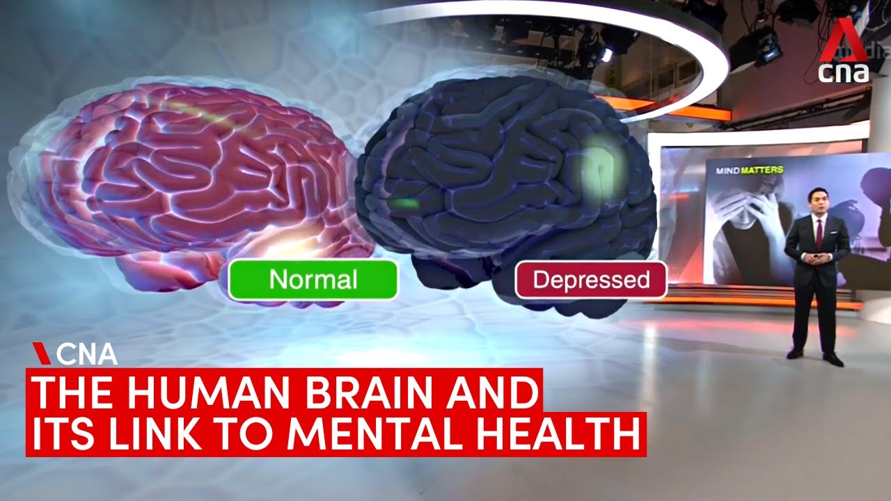 What causes mental illnesses? The human brain and its link to mental health