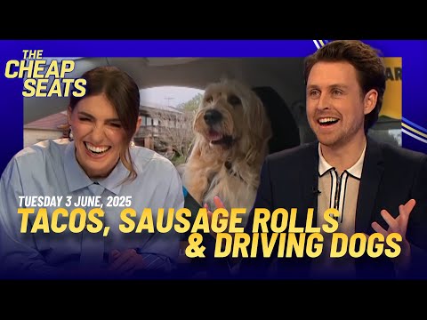 What Does 'TACO' Mean? Can Dogs Drive? #cheapseatsau