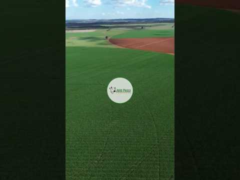 FAZENDA A VENDA EM CABECEIRAS/GO - 610 HECTARES