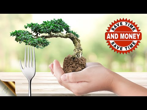 10 SECRET BONSAI HACKS FOR INSTANT BONSAI TREE MAKING | MONEY SAVING DIY BONSAI TIPS & TRICKS