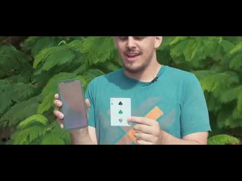 Nype by Antonio Bourgeois