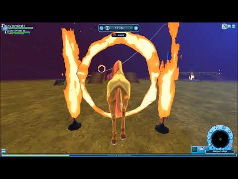 Wöchentliches Pferdelvln KW 13 2021