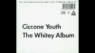 Ciccone Youth - Addicted to Love