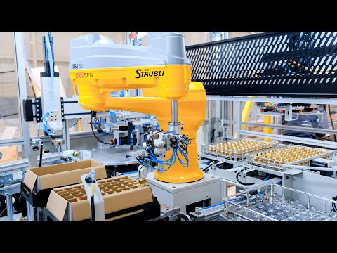 Final Control And Packaging Machine