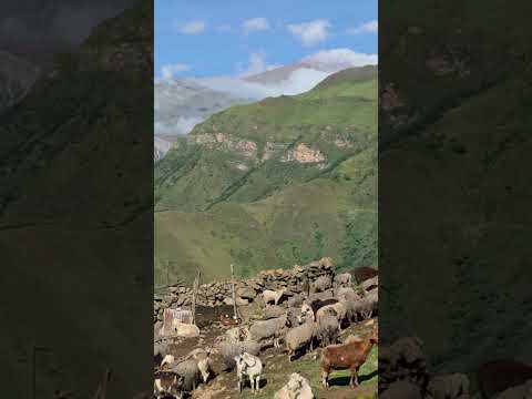 Entre Tilcara y la selva viva de Calilegua, este trekking no es solo caminar: es conectar.