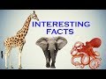 Interesting Facts You Should Know About Animals|Birds|Insects.