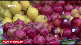 Форум под названием «Исключить антибиотики из меню» прошел в грозненском медколледже