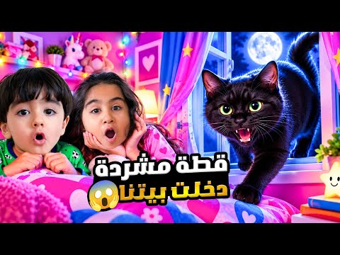  قطة مشردة سوداء دخلت بيتنا 😨 ميلا وادومي اهتمو فيها يوم كامل النهايه كانت صادمه 😱