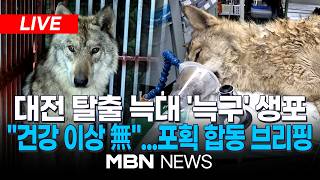 ????[LIVE] 대전 오월드 '늑구' 포획 기관, 합동 브리핑 | MBN NEWS