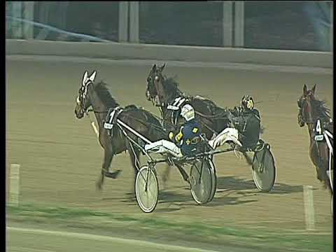 Trotto 15/12/2017 - 4ª corsa