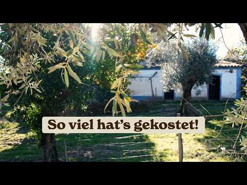 How much did our house in Portugal cost? – The price of a big dream 🇵🇹