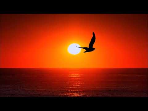 California Sunshine vs Twina - Midian (Live Remix)