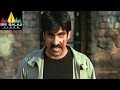 Vikramarkudu Movie Vikram Rathod Powerful Fight Scene | Ravi Teja, Anushka | Sri Balaji Video