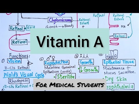 Vitamin-A | Absorption Transport Function Deficiency Manifestations & Therapeutic Use
