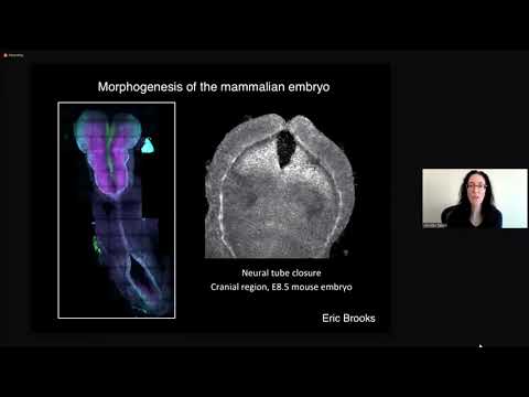 Day 2 - Cell Biological Basis of Epithelial Physiology