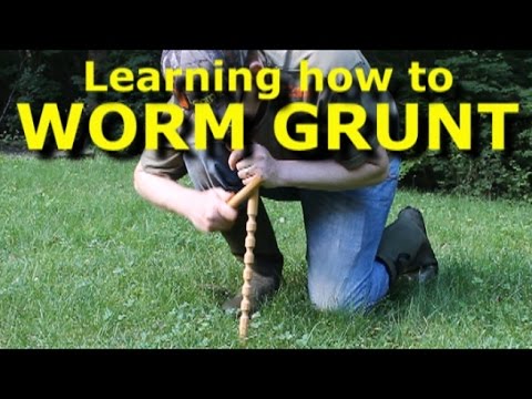 Worm grunting - charm earthworms out of the ground - with Worm Gitter