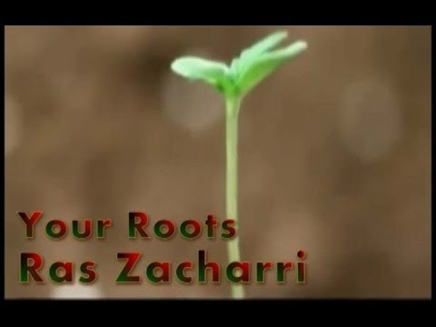 Your Roots Ras Zacharri 2014