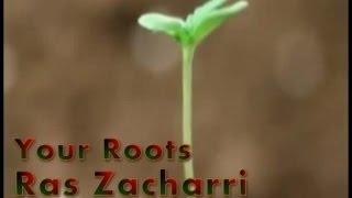 Your Roots Ras Zacharri 2014