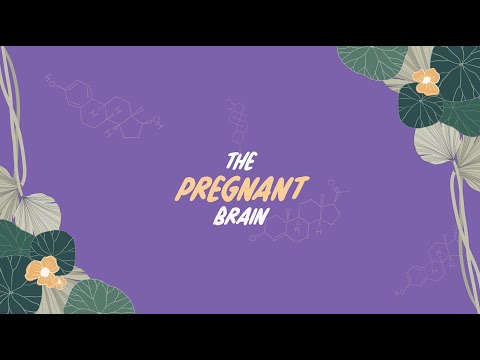 The Women's Brain Health Project: Episode 4 - The Pregnant Brain