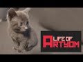 Life Of Artyom