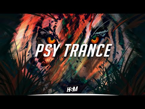 Middle-D - Lion's Den