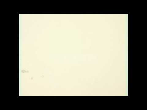 ShortyJay900 “Red Beams” ( Official Music Video) @ShortyJay900