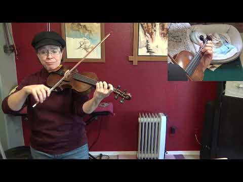 Don and Kelly's Waltz by Daniel Steinberg