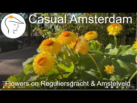 Casual Amsterdam - Flowers on Reguliersgracht and Amstelveld