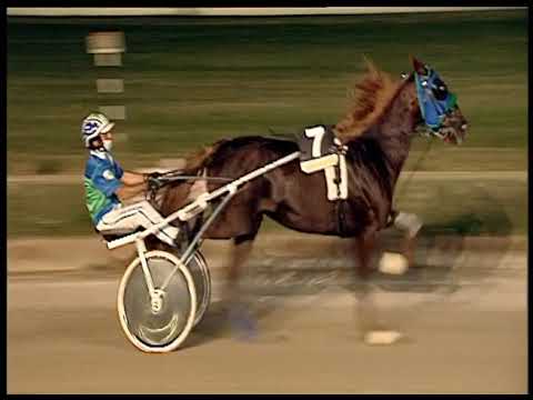 Trotto 18/06/2020 - 8ª corsa