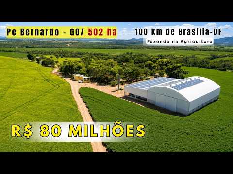 FAZENDA DE 502 HECTARES a 100 km de BRASÍLIA | 400 ha Plantados + Irrigação por pivô em Pe. Bernardo